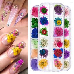 Nail Art Decorations 12 Grids 3D Dried Flowers Charms Mixed Colourful Natural Floral Sticker Decals Decoration DIY Manicure Accessories