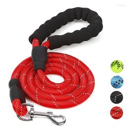 Dog Collars The EVA Reflective Silk Round Belt Leash Chest And Back Coat Are Matched With An Extended Pet