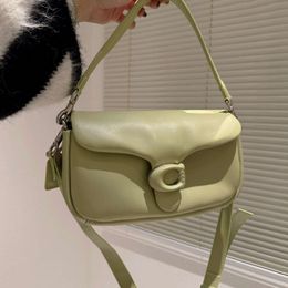 Shoulder Bags shoulder bag designer baghandbag bags balck grey cream Handbags mini tabby pillow 26cm purses for women leather green black
