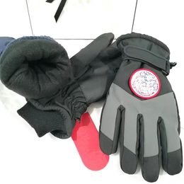 Ski Gloves, Winter Men's Touch Screen, Waterproof, Windproof, Outdoor Sports, Warm Cycling, and Snow All Fingers Canda Goose 208