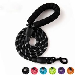 Dog Padded Handle Nylon Heavy Duty Reflect Light Leashes with Hang Ring for Dogs Bottle Bowls Pet Supplies ZZ