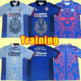Training 23/24 CD Cruz Azul Soccer Jerseys 2023 Liga MX ANTUNA RODRIGUEZ TABO Shirt VIEIRA RIVERO ESCOBAR LIRA Football Uniform fans men