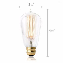 Hudson Lighting Vintage Antique Style Edison Bulb ST58 Squirrel Cage Filament 230 Lumens 60W E26