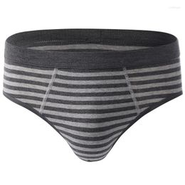 Underpants Large Size Underwear Men Briefs Cotton Striped Panties Man Sexy U Convex Bulge Pouch Plus 5XL Mens