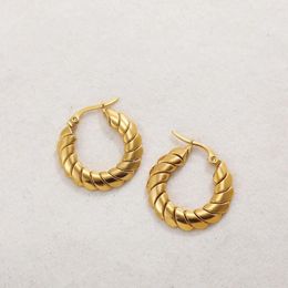 Hoop Earrings Fashion Gold Plated Stainless Steel Flat Twist For Women Originality Textured Designer Punk Jewelry Gift