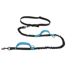 Dog Collars Hands Free Leash Retractable Walking Rope Durable Bungee For Jogging And Running Your Dual Padded Handles Up