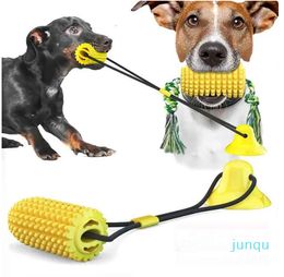 Pet toy corn molars with suction cups and string toothbrushes