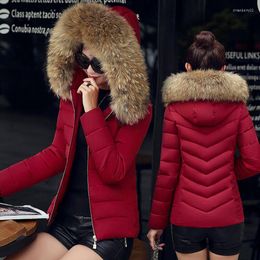 Piumino da donna 2023 inverno corto moda grande collo in pelliccia giacca imbottita tinta unita donna cotone sottile
