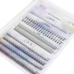 False Eyelashes A Type Fish Tail Lashes Sandwich Lower Mixed Style Single Cluster Length Pack Extension