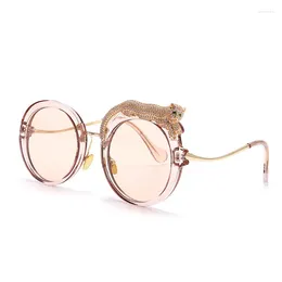 Sunglasses Mosengkw Luxury Personality Alloy Women Eyeglasses Wholesale Diamond Leopard Fashion Eyewear