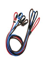 Dog Collars Leashes Nylon Rope whisperer Cesar Millan style Slip Training Leash Lead and Collar Red Blue Black 3 Colors3429873