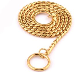 Dog Collars Leashes 7 Size Gold Silver Stainless Steel P Chain Snake Harness ed Necklace Pet Show Training Choker Leash5100007