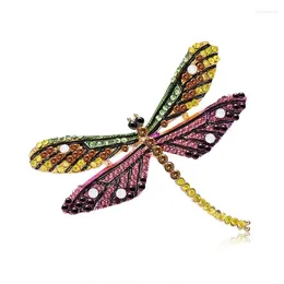 Brooches Brooch Insect Colorful Fashion Jewelry Badge Banquet Scarf Pins