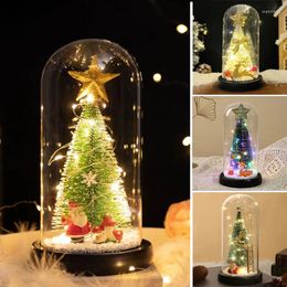 Decorative Flowers Christmas Tree Santa Claus Reindeer In Glass With Fsiry LED Lights Xmas Home Party Decor Year Ornaments Gifts For Women