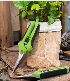 Green Lawn Patio Multifunctional Garden Pruning Shears Fruit Picking Scissors Trim Household Potted Branches Small Scissors Garden9067660