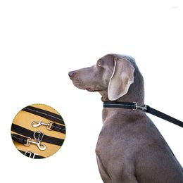 Dog Collars Brand High Quality 3M Adjustable Training Strong Leashes Large Medium Small Breeds Cat Pet Supplies Walking