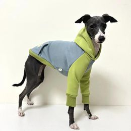 Dog Apparel Greyhound Hoodie Coat Winter Warm Italian Clothes Whippet Pullover With Hat Jacket