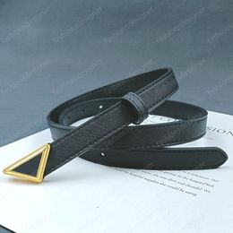 Designer belt women belts designer ceinture Gold triangle buckle genuine leather belt waistband belts for men Italian style mens belt