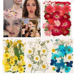 Nail Art Decorations Beauty Multi-purpose Mixed Colour 3D Floral DIY Real Dried Flower Face Sticker Decor Manicure Tips