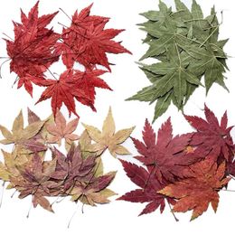 Decorative Flowers 4-5cm/24PC Real Natural Dried Pressed Dry Press Mini Autumn Leaves For Crafts Resin Jewellery