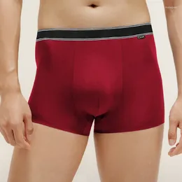 Underpants 4pcs Men Briefs Sexy Shorts Cotton Pant Breathable Boxers Solid Colour Plus Male Underwear Men's Comfort Pants Size S-XL