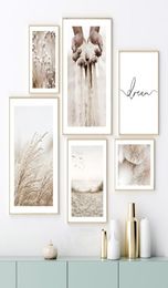 Paintings Beige Mushroom Cotton Reed Grains Of Sand Wall Art Canvas Painting Nordic Posters And Prints Pictures For Living Room De1578961