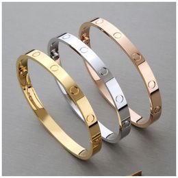 Other Bracelets Designer Man Bracelet Screw Bracelet Love Bracelets Carti Bracelet Woman Bangle Rose Gold Braclets Armband Stylish Bangles Silver Braclet Pulsera