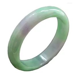 Bangle Natural Burmese Jade Bracelet Transparent Green Violet Vintage Elegance B0009