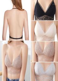 Gym Clothing Sexy Low Back Lace Bralette Black Bra Dot Mesh Ultra Thin Ladies Underwear Women White Lingerie Top Femme Yoga Bras T6281206