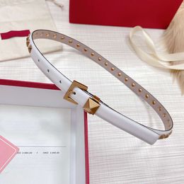 Top Quality Designer Womens Belt Classic Hardware Pure Copper Letter Buckle Women Waistband Wide 2.0cm Fashion Versatile Jeans Dress Small Suit Accessories Belt