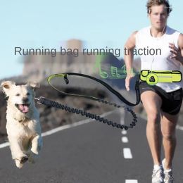 Dog Collars Traction Rope Pet Reflective Leash Running Belt Double Hands Freely Jogging Pull D-ring Leashes