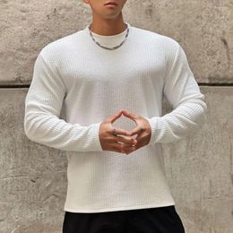 Men's T Shirts Men Fall Spring Round Neck Long Sleeve Solid Colour Slim Fit Casual Simple Style Pullover Mid Length Bottoming T-shirt Male