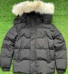 Puffer Goose Down Parka Wyndham Real Coyote Fur Outdoor Jassen Hooded Fourrure Manteau Hiver Doudoune