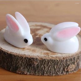 Garden Decorations Cute 50pcs Cartoon Big Ears Micro Landscape Potted Plants Office Decoration Animal Ornaments DIY Landscaping