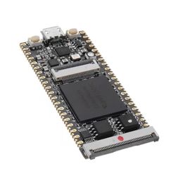 Integrated Circuits 64Mbit SDRAM Onboard FPGA Downloader Dual Flash RISC-V Development Board Module Geuvk