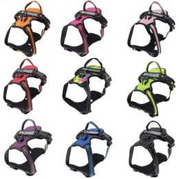 Dog Collars Leashes Reflective Dog Harness Leash Adjustable Mesh Pet Collar Chest Strap Leash Harnesses With Traction Rope Pet Accessories 231110