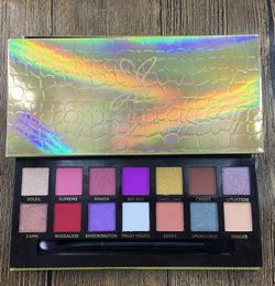 2020 NEW High Quality brand Makeup eye shadow Palette 14colors limited eye shadow palette with brush eyeshadow palette Shipp9053789