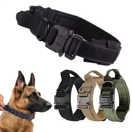 Dog Collars Leashes Dog Collar Nylon Leash Harnesses Durable Military Adjustable Training Walking Collar Dog Accessories For Medium Large dogs 231110