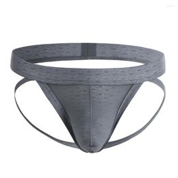 Luxury Mens Underwear Underpants Under Wear Brief Sexy Low Rise Jock Strap Briefs Thong T-Back G-String Lingerie Breathable Male Comfortable Drawers Kecks LPAF