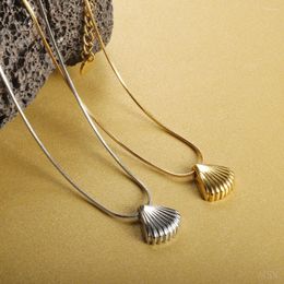 Chains Stainless Steel Shell Scallop Pendent Necklace For Women Man Drop Unique Design Jewelry Gifts Waterproof