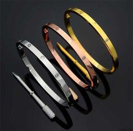 4mm Thin 6th Titanium Steel Bangle Designer Women Men Bracelet Bangles Silver Rose Gold Screw Screwdriver Nail Couple Jewellery Size 16 17 18 19cm Lfnk