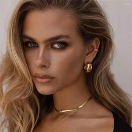 Hoop Earrings 18K Gold Plated Trendy Stainless Steel For Women Simple Geometric Metal Statement Jewellery Waterproof