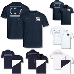 F1 T-shirt Formula 1 Driver Polo Shirt T-shirts Racing Team Uniform Tops Summer Fans Oversized T-Shirt Jersey Short Sleeves Custom