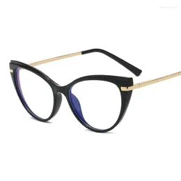 Sunglasses European And American Fashion Cat Eye Mirror Female TR90 Spring Leg Metal Frame Anti-blue Glasses