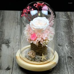 Bottles 12 26cm Three-Leg Log Base Glass Dome Vase Home Decoration Transparent Cover DIY Friend Gift Wedding Live Prop