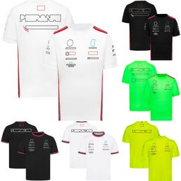 Herren T-Shirts Formel 1 Rennteam T-Shirt F1 2024 Saison T-Shirt Motorsport Casual Herren Polo Shirt atmungsaktives Kurzarm-Trikot Summer YPD2