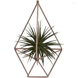 Garden Decorations Hanging Air Plants Holder Rustic Wall Mount Irregular Pentagon Geometric Decor Rose Gold (No Plants)