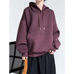 Luxi Leisure Women's Autumn And Winter Thickened Loose Hooded Top Street Style Premium Feel Sweater 2692