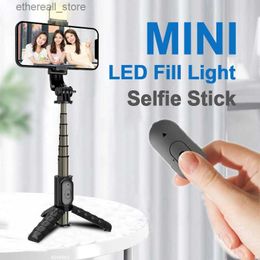 Selfie Monopods 2023 Anti Phone For Twitter Facebook Aluminum Selfie Stick Tripod Mini Extendable 4 in 1 Selfie Stick 360 With Fill light Hot Q231110