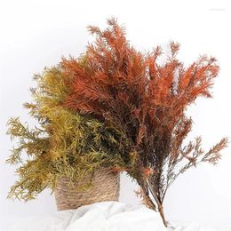 Decorative Flowers Natural Dried Preserved Foliage Christmas Decoration Eternal Tree Arrangements DIY Craft Wedding Party Home Table Decor